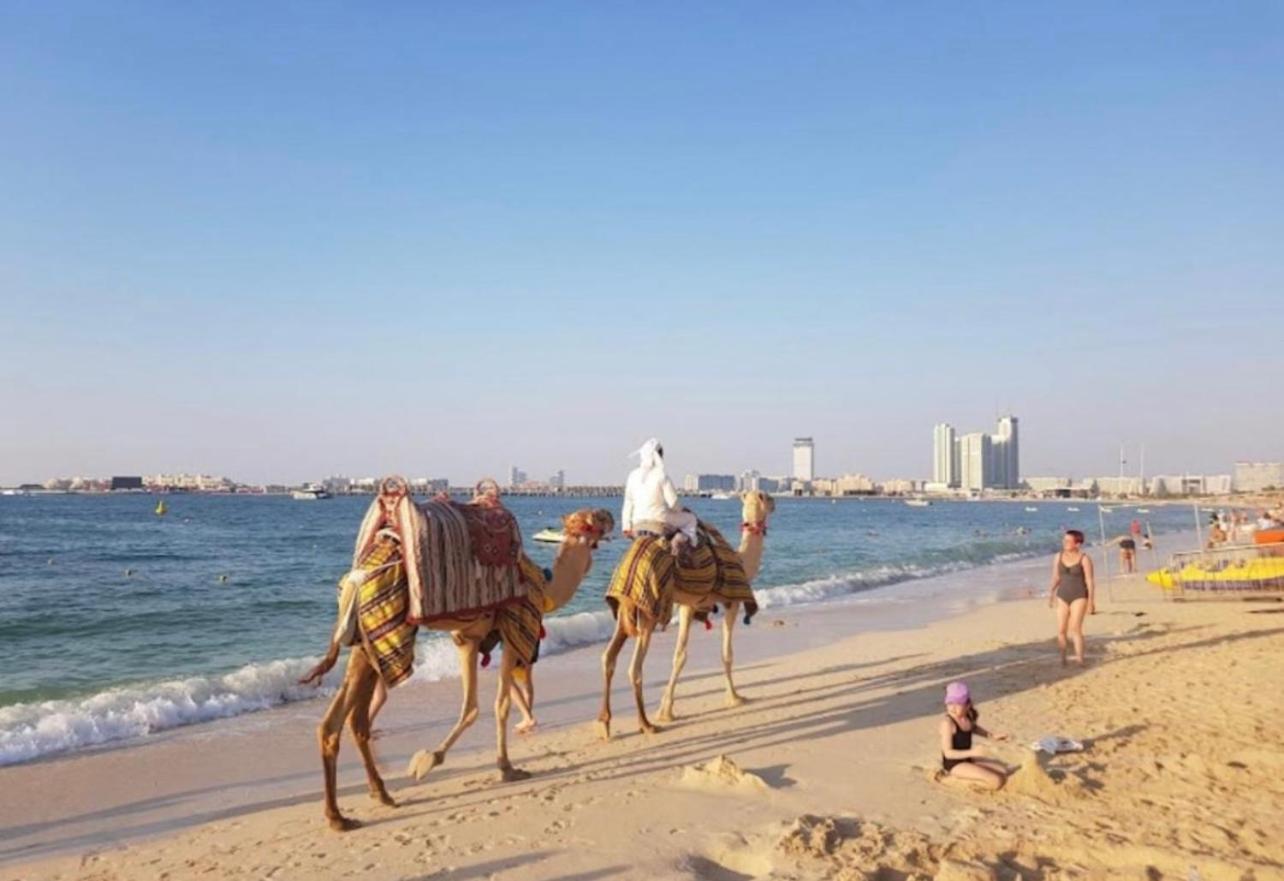 Seaview Beach Hostel Jbr - Walk To Beach - Gym - Pool - Metro Station Dubaj Kültér fotó